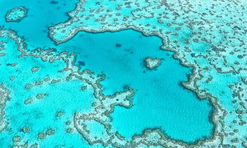 An optional shore excursion could take you out to the Great Barrier Reef, charges apply.