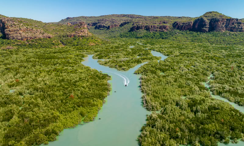 The Hunter River is home to a large mangrove estuary that forms part of Porosus Creek.