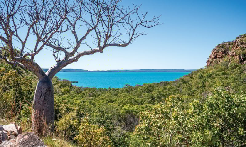 Kuri Bay is a diverse landscape in Australia’s northwest Kimberley region.