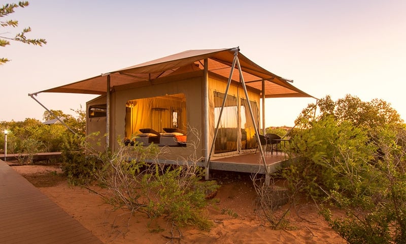 Stay in an eco-tent, with the perfect balance of comfort and closeness to nature.