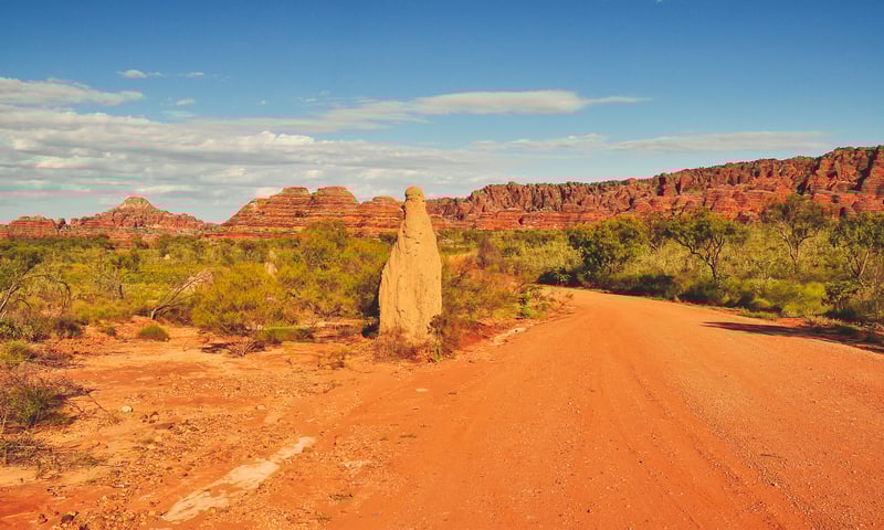 Travel to the UNESCO-Listed Purnululu National Park to walk among unique landscapes.