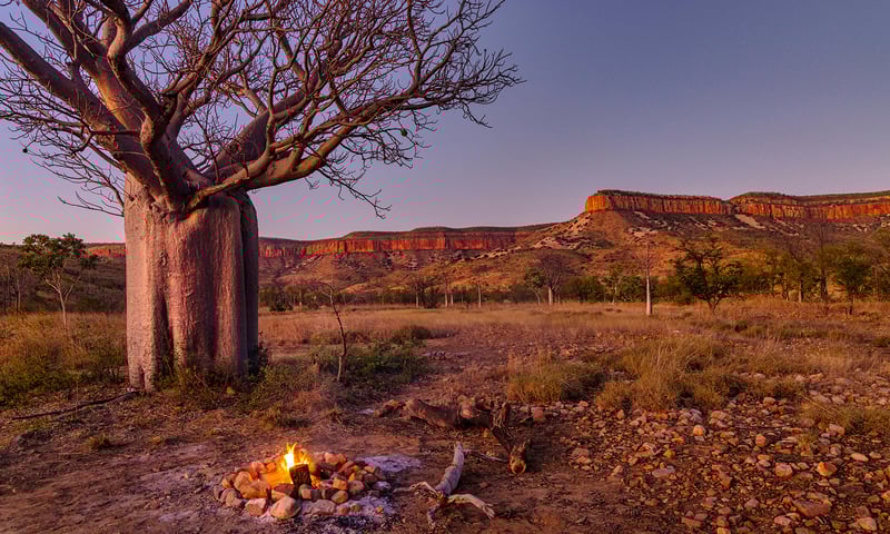 Put the billy on and soak in the stunning landscapes of the Cockburn Ranges.