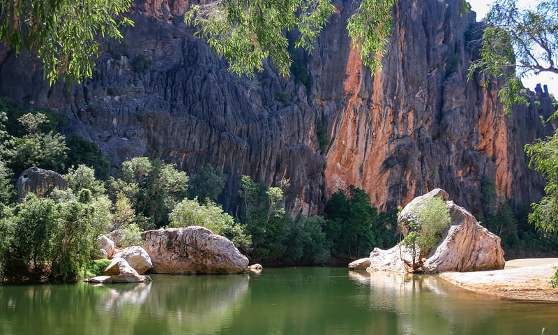 Go wildlife spotting in beautiful Bandilngan (Windjana Gorge) National Park.