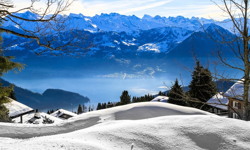 Enjoy the stunning view of Lake Lucerne from Mt. Rigi (optional activity).