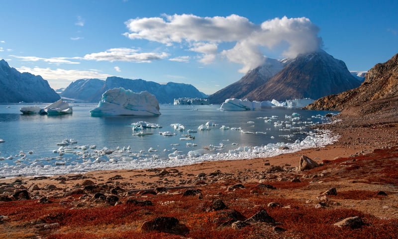 Search for wildlife and more among the icy fjords of Scoresbysund, Greenland.