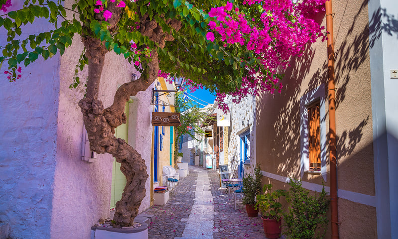 Wander along the pretty alleyways of Syros during your leisure time on the island.