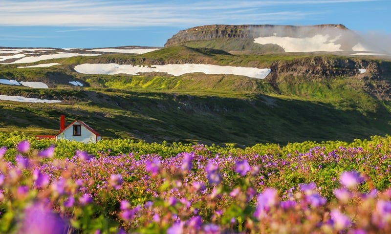 Immerse yourself in the spectacular summer landscapes of Isafjordur, Iceland.