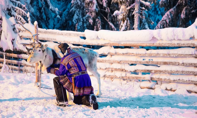 Enjoy a Sami cultural experience with a reindeer herding family in Svolvaer, Norway.