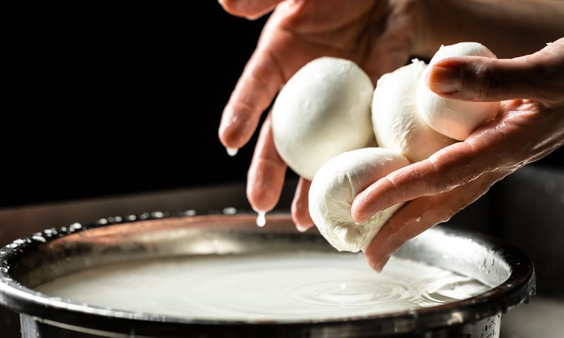 Visit a typical mozzarella farm and join a guided tour to learn about the production of mozzarella.