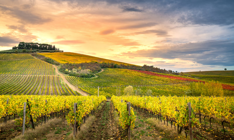 Travel through the rolling hills and lush vineyards of Tuscany.