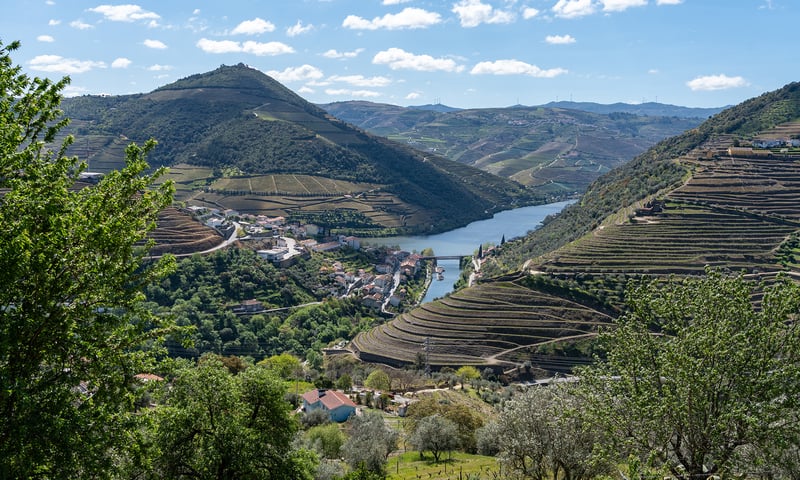 Taste famous Port wine at the beautiful Quinta do Tedo Vineyard near Pinhao, Portugal.