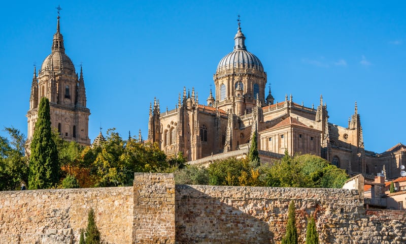 Take a guided tour of Salamanca, Spain to immerse in this historic city.