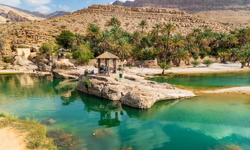 Take a dip in the natural swimming pool of Wadi Bani Khalid Oasis.