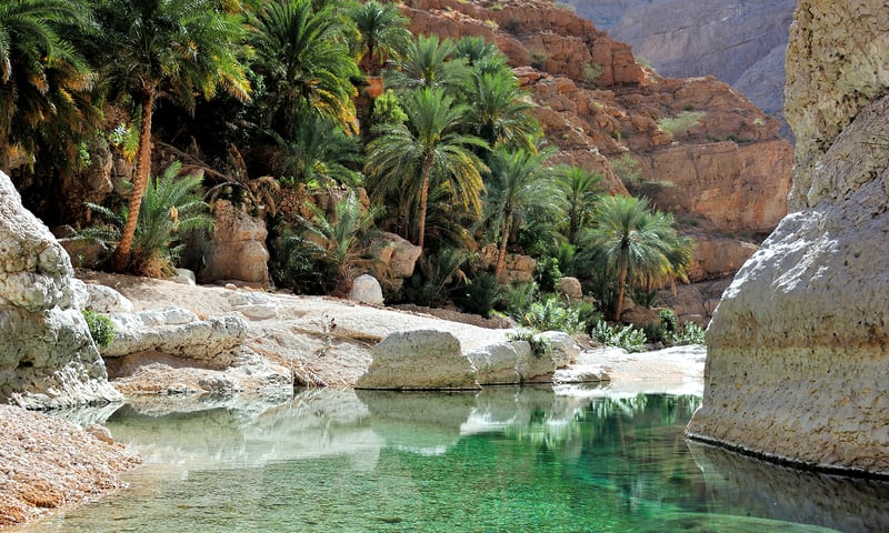 Explore Wadi Shab, a picturesque dry river gorge, one of Oman's most famous attractions.