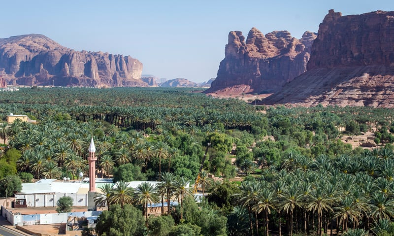 Visit AlUla, at the intersection of the Silk Road and Incense Route. (Itinerary 2 only)