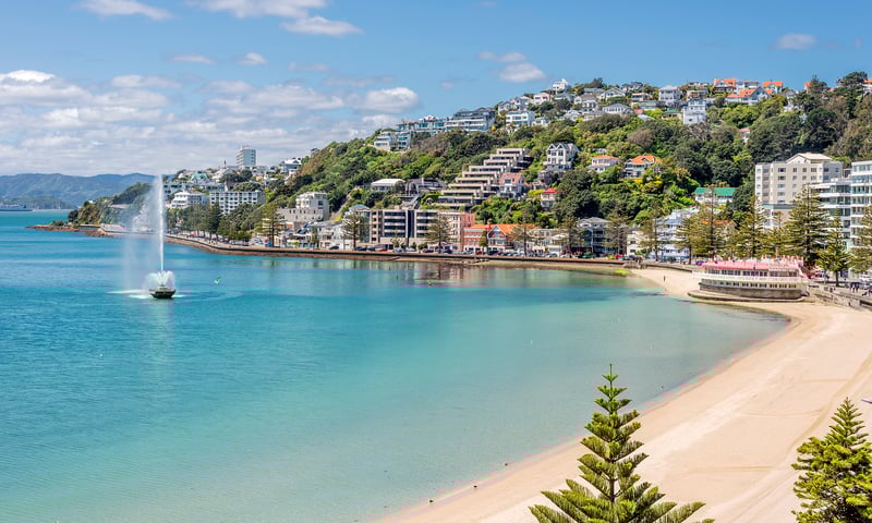 Relax at Wellington's Oriental Bay while docked.