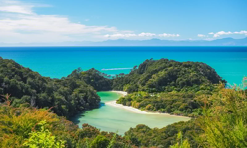 Marvel at the stunning views of Abel Tasman National Park.