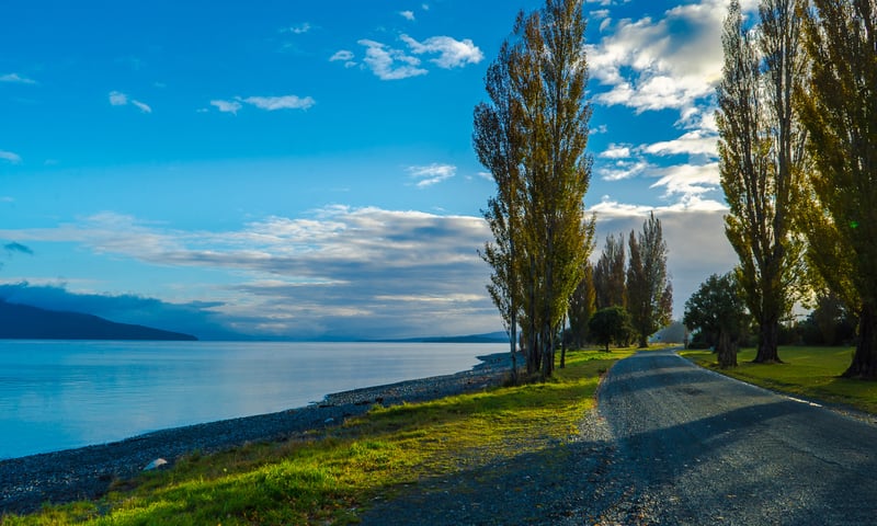 Te Anau is a picturesque lakeside town on New Zealand's South Island.
