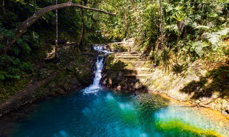 Hike, birdwatch, or swim in crystal-clear water at Suva's Colo-I-Suva Forest Park.