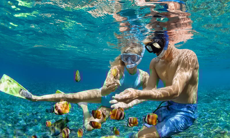 Snorkel and swim in warm tropical seas.