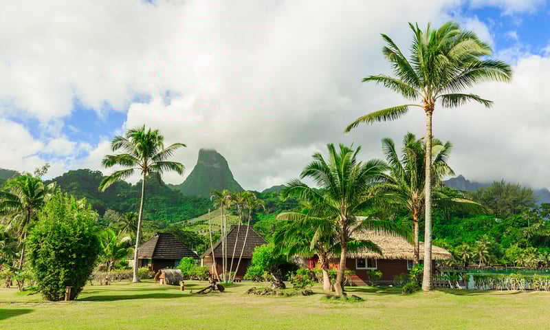 Discover traditional life on the island of Mo'orea during your leisure time.