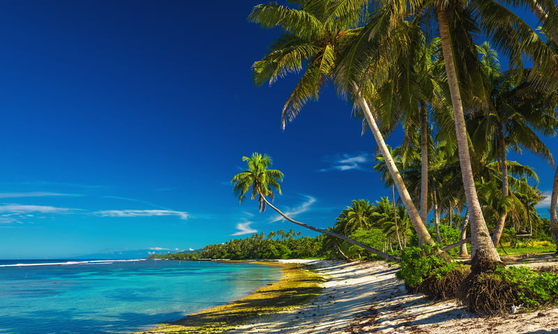 Discover Samoa's natural island beauty.