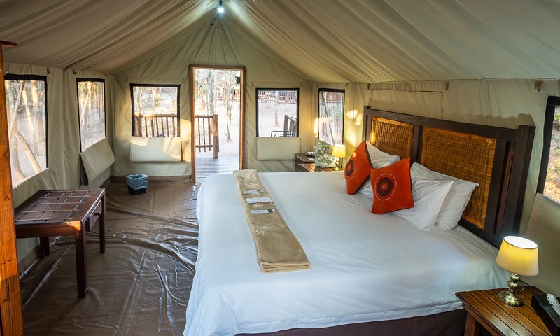Stay at Buffalo Rock Safari Camp, located in Kruger National Park.