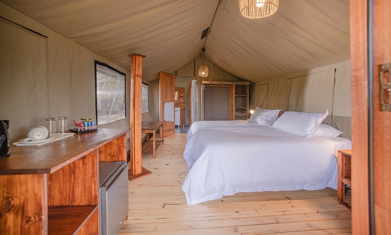 Wake to the sounds of the bush in well-appointed ensuite tented rooms, Nkambeni Safari Camp.