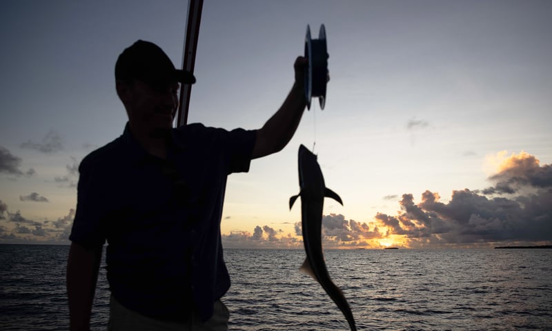 You'll love this night fishing cruise.