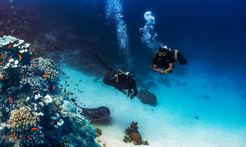 Get a taste of the underwater world with a complimentary 20-minute lagoon dive.