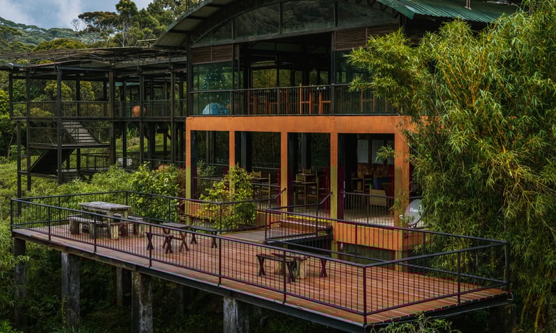 Discover The Rainforest Ecolodge in Ensellwatta Viharahena, Deniyaya, Sri Lanka.