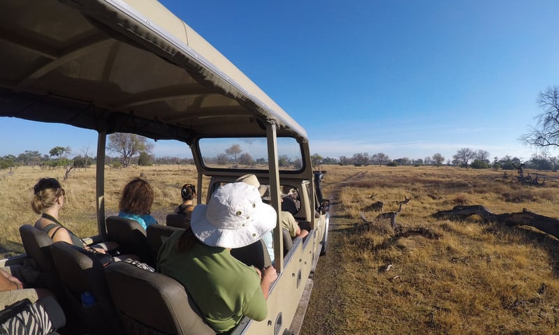 Enjoy select 4x4 game drives in search of big cats, wildebeest and zebra.