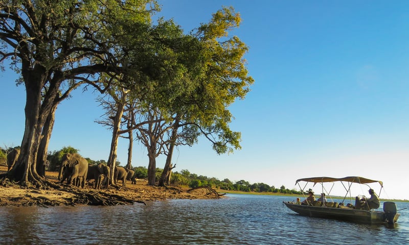 Board a boat for a stunning sunset cruise along the Chobe River in Botswana.