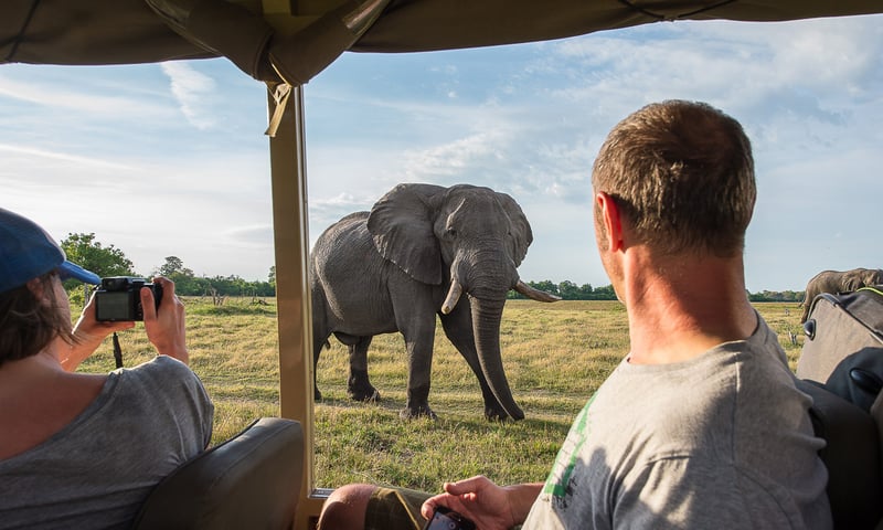 Keep a look out for mega-prides of lions, herds of elephants and more during select 4x4 game drives.