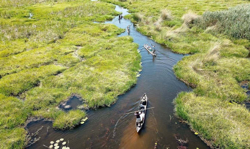 Botswana's Okavango Delta  in northern Botswana is the world's largest inland delta.