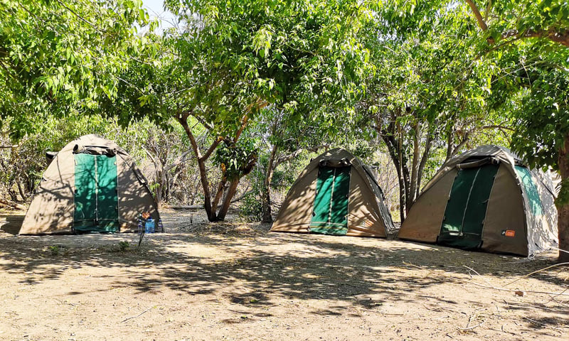 Experience wild camping in Moremi Game Reserve, Botswana.