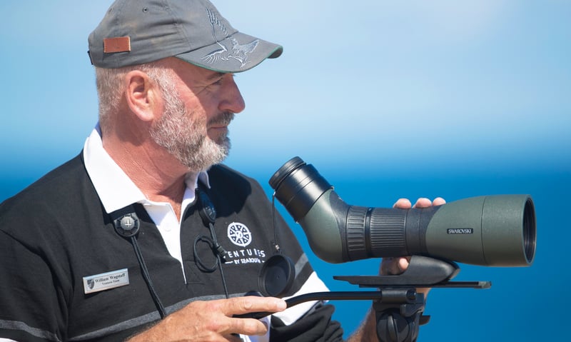 Learn from onboard experts aboard Seabourn Quest.