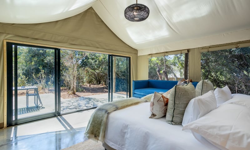 Escape to a deluxe tent within Bellevue Forest Reserve, South Africa.