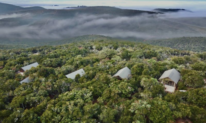 Listen to birdcall from your accommodation in Bellevue Forest Reserve, South Africa.