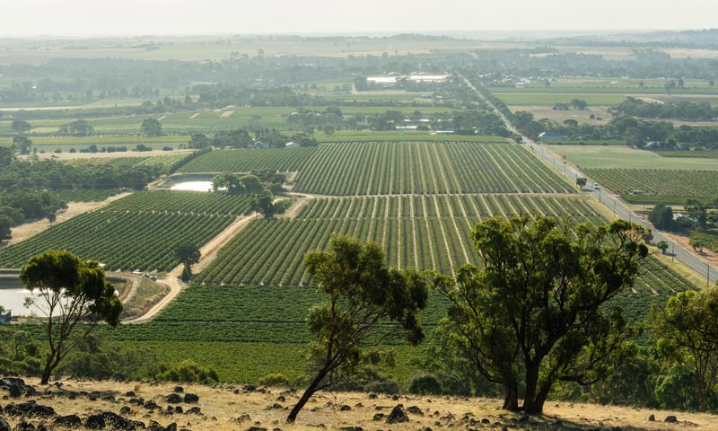 The Barossa region in South Australia is world-famous for its wine.