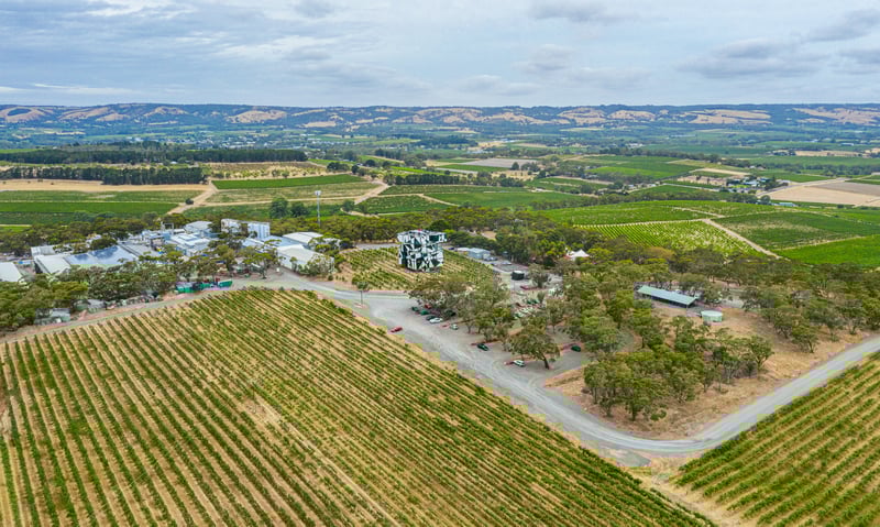 Visit d'Arenberg Cube at the vineyard in McLaren Vale, South Australia