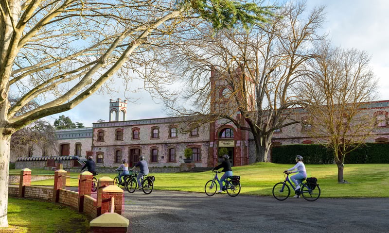 Yalumba Winery near Angaston is the heart of the Barossa, South Australia