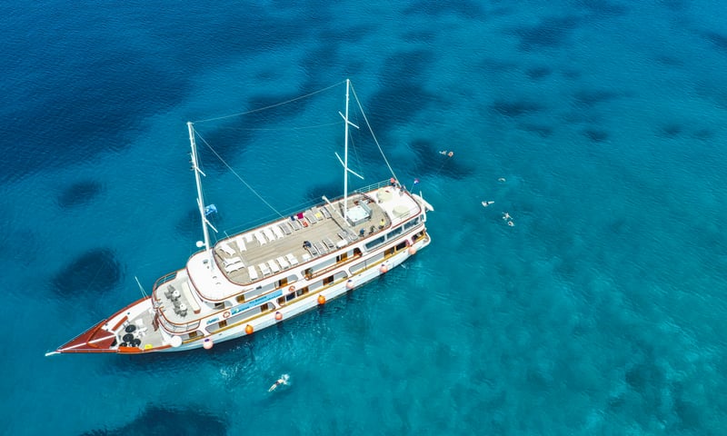 Enjoy a 7-night cruise on the premium MS Amore (or similar).