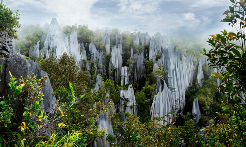 Mulu National Park is a UNESCO World Heritage Site.