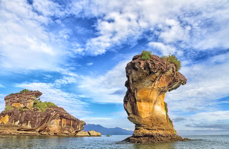 Marvel at the natural wonders of Bako National Park.