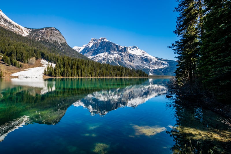 Journey through one Canada’s most breathtaking national parks, Mount Revelstoke.