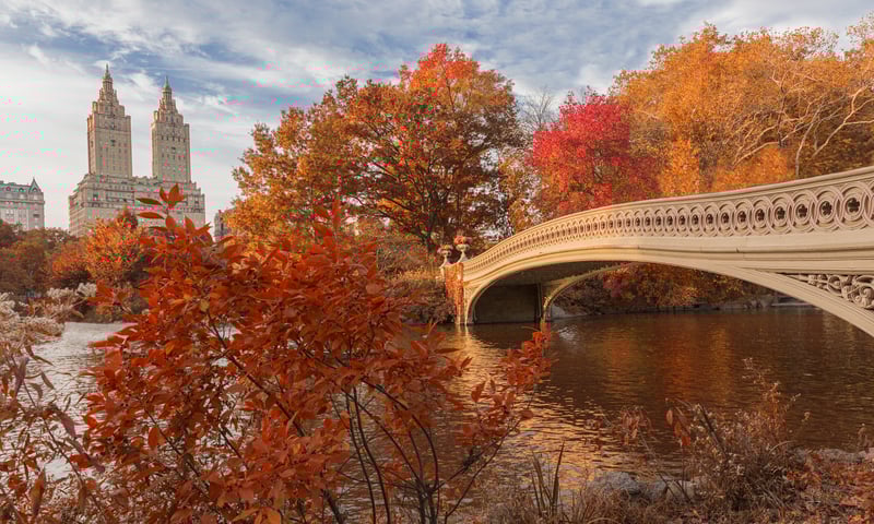 Walk the famous paths of Central Park in New York.