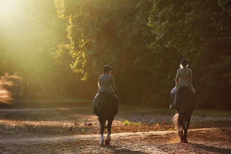 Horseback riding