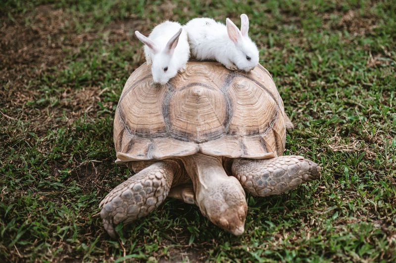 Children's activities