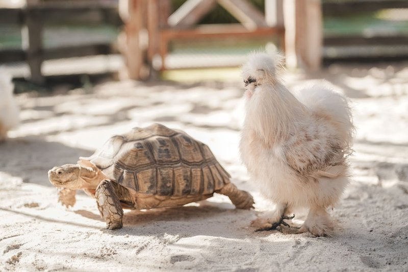 Children's activities